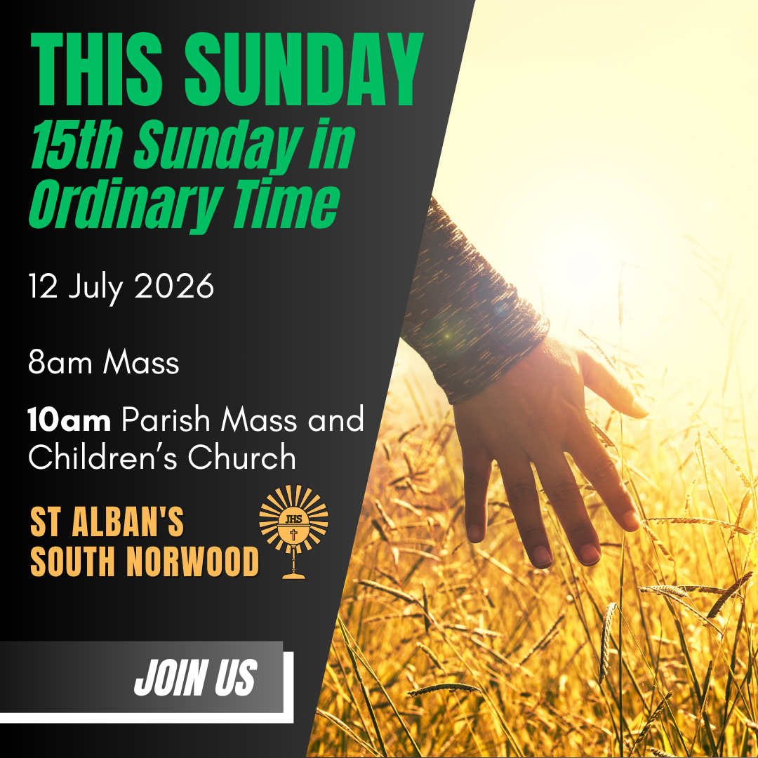 12 July 2026 -15th Sunday in Ordinary Time