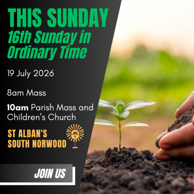 19 July 2026 -16th Sunday in Ordinary Time